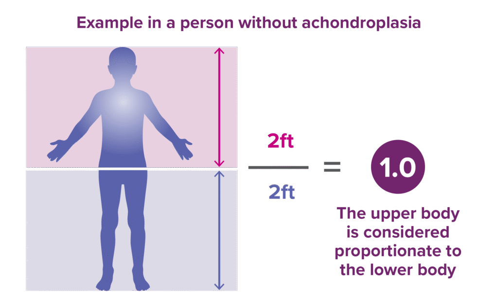 An example of a person with a prortionate upper vs lower body and an example of a person with a disproportionate upper vs lower body.