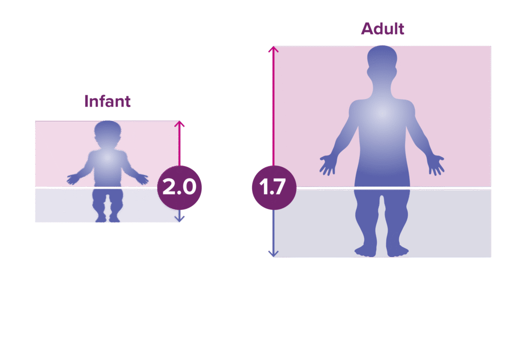 How body proportions change from infancy to adulthood. The first example is an average-stature adult. The second is an adult with achondroplasia.