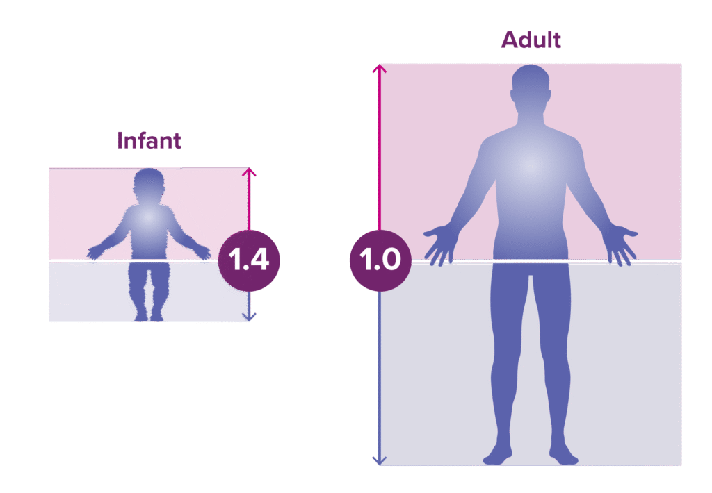 How body proportions change from infancy to adulthood. The first example is an average-stature adult. The second is an adult with achondroplasia.