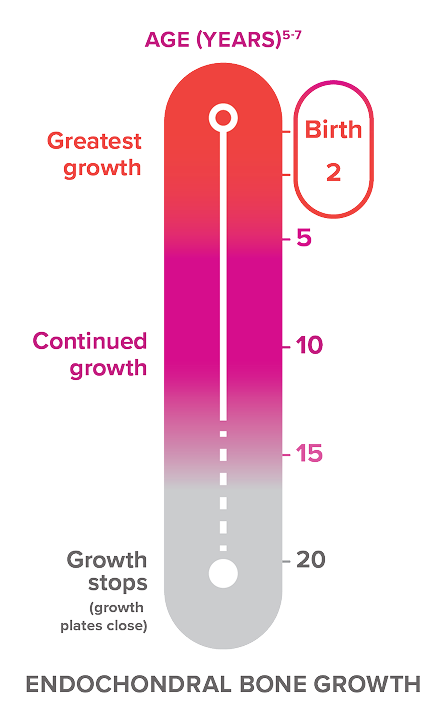 Bar chart showing endochondral bone growth timeline from birth to age 20, with greatest growth in the first 2 years of life