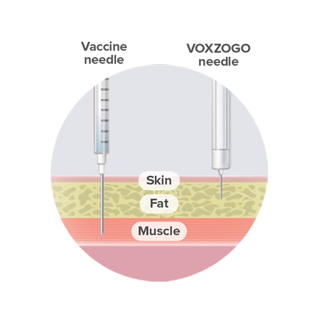 Diagram comparing a standard vaccine needle to the smaller VOXZOGO needle used for subcutaneous injection
