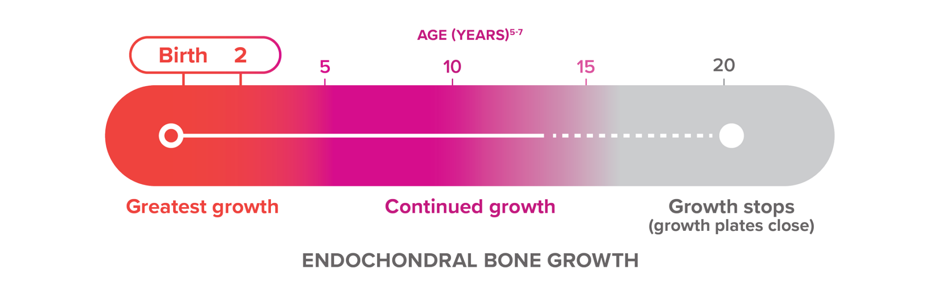Bar chart showing endochondral bone growth timeline from birth to age 20, with greatest growth in the first 2 years of life