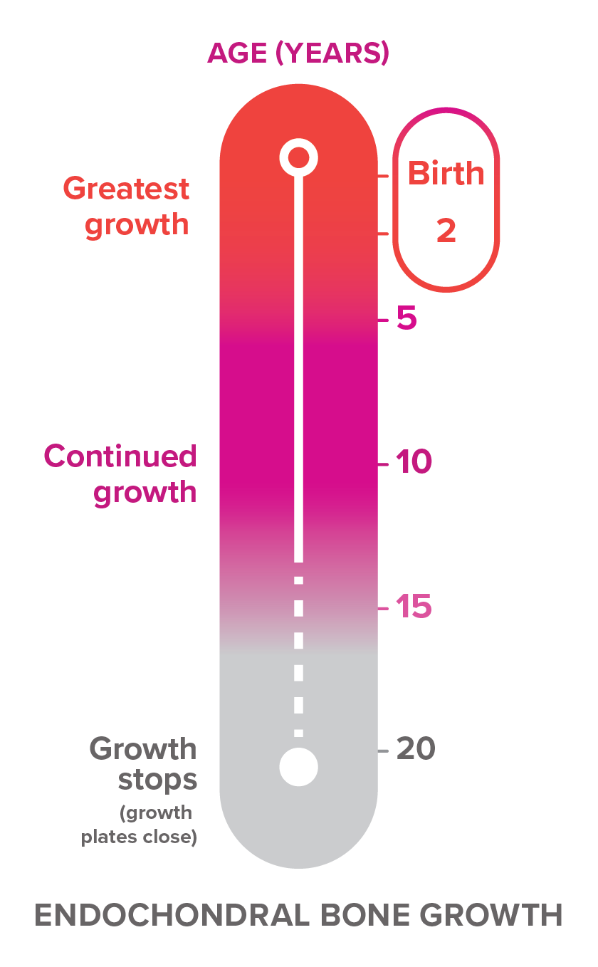 Bone Chart Timeline Inhibited Bone Growth: Causes, Cell Signaling Imbalance, and Health ...